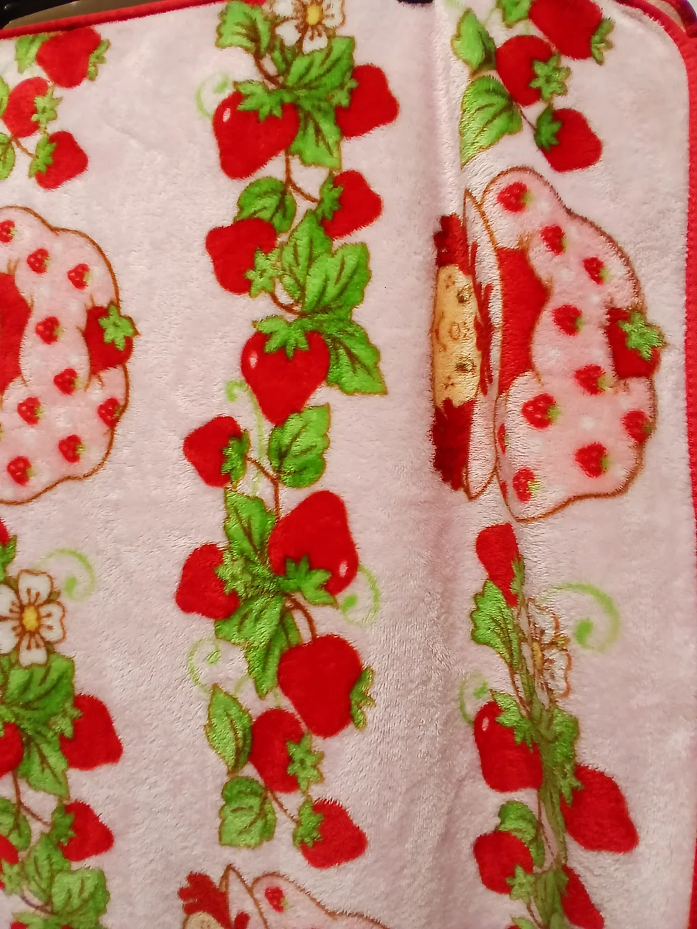 Pink Strawberry Shortcake Baby Blanket with Red Trim